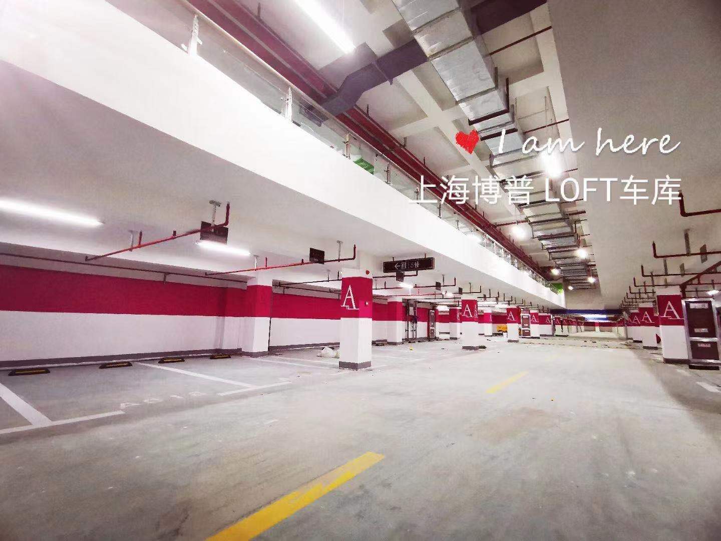 徐汇LOFT车库“肤白、貌美、大长腿”实锤!